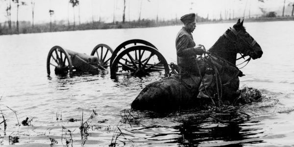 paard waterlinie Waterliniemuseum paard waterlinie Waterliniemuseum